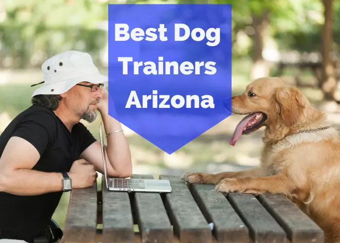 Best Dog Trainers in Arizona