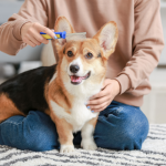 Best Brushes For German Shepherds