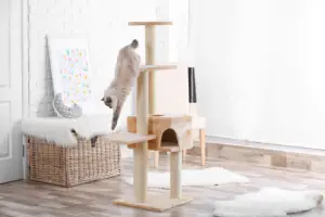 Best Cat Trees For Small Spaces