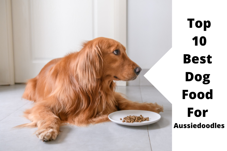 The 10 Best Dog Food For Aussiedoodles