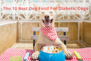 Best Dog Food For Diabetic Dogs