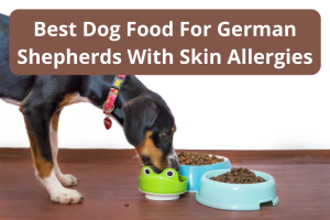 Best Dog Food For German Shepherds With Skin Allergies