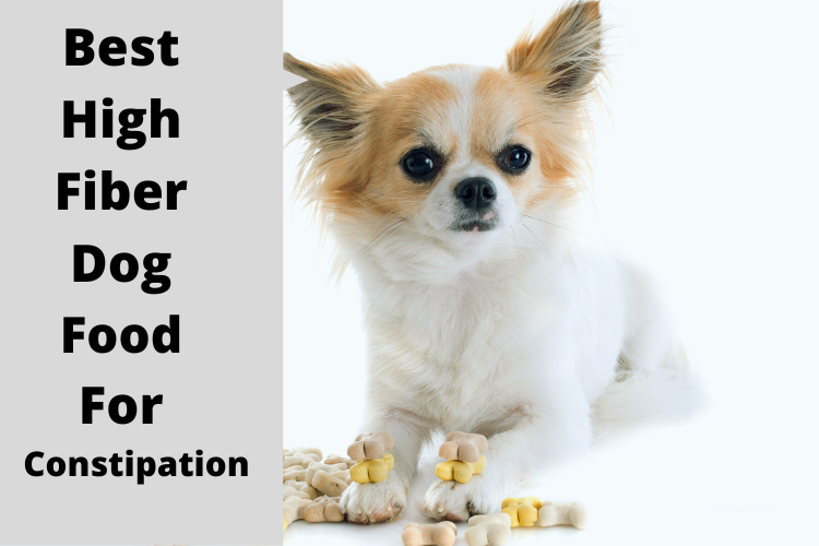 The 10 Best High Fiber Dog Food For Constipation