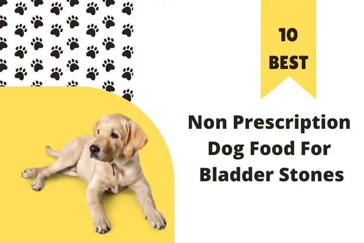 10 Best Non Prescription Dog Food For Bladder Stones