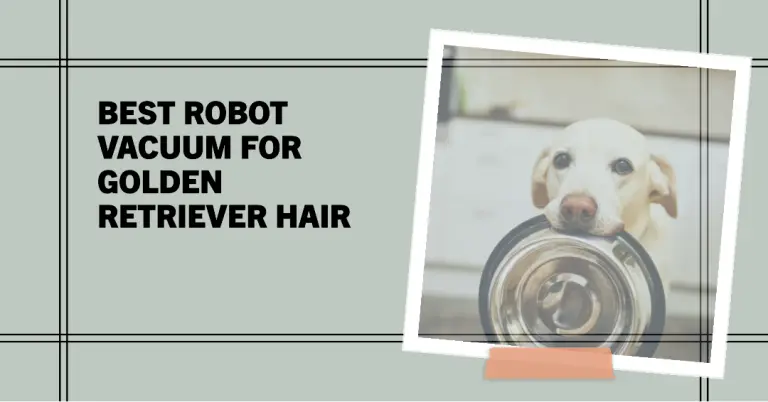 Best Robot Vacuum For Golden Retriever Hair