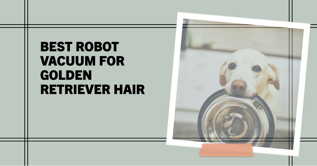 The 10 Best Robot Vacuum For Golden Retriever Hair In 2023