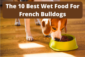 Best Wet Food For French Bulldogs