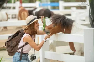 Foods You Should Never Feed To Your Horse