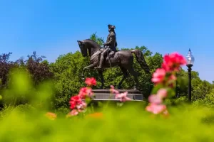 Things to Know About George Washington’s Horse Nelson