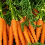 Can German shepherds eat carrots
