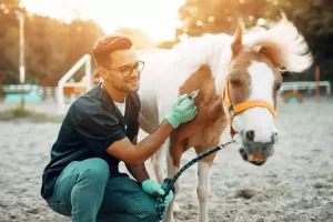 Do Horses Need Vaccinations Every Year