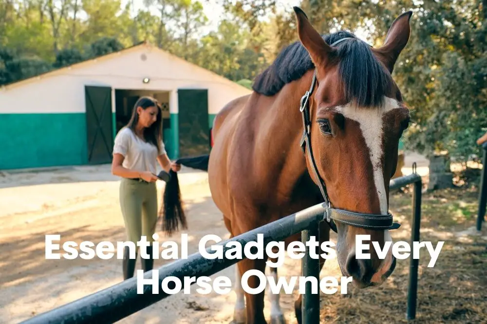 Essential Gadgets Every Horse Owner