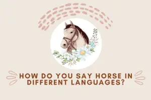How Do You Say Horse In Different Languages