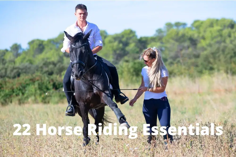 horse riding essentials