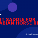 Best Saddle for Arabian Horse RDR2