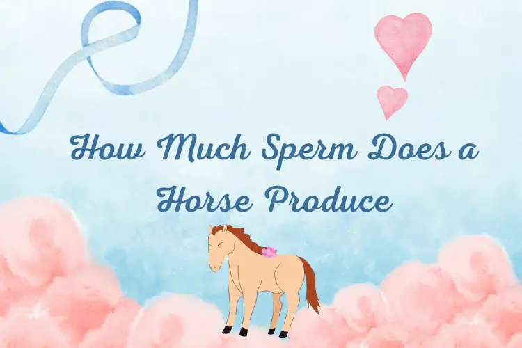 How Much Sperm Does a Horse Produce