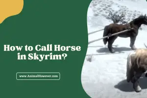 How to Call Horse in Skyrim
