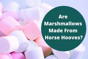 Are Marshmallows Made From Horse Hooves