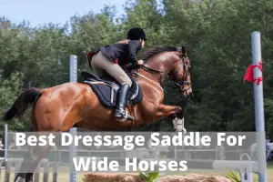 Best Dressage Saddle For Wide Horses