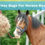 best hay bags for horses