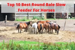 Best Round Bale Slow Feeder For Horses