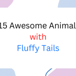 animals with fluffy tails