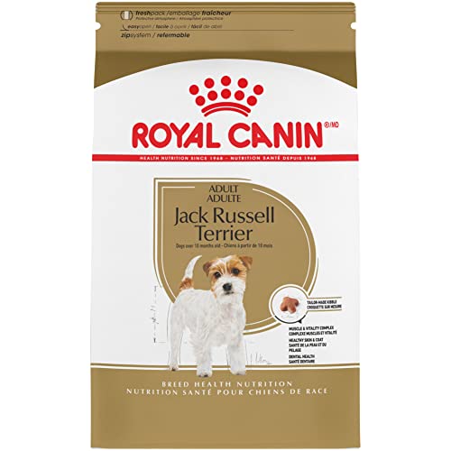 10 Best Dog Food For Senior Jack Russell In 2023 Top Picks and