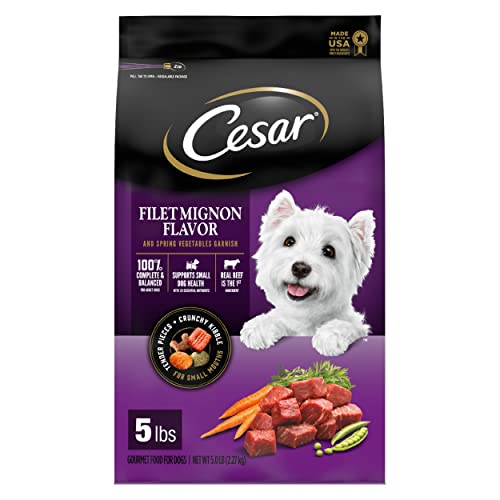 10 Best Dry Dog Food For Cavapoos In 2023 - Top Picks and Recommended