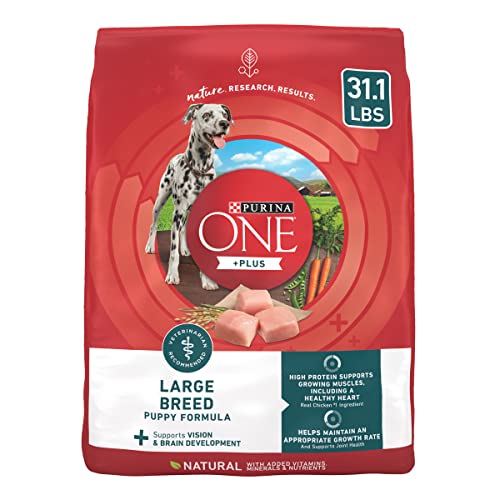 Top 10 Best Dry Food For Cane Corso Puppy In 2023