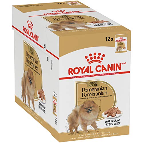 10 Best Wet Dog Food For Pomeranian In 2023 Top Picks