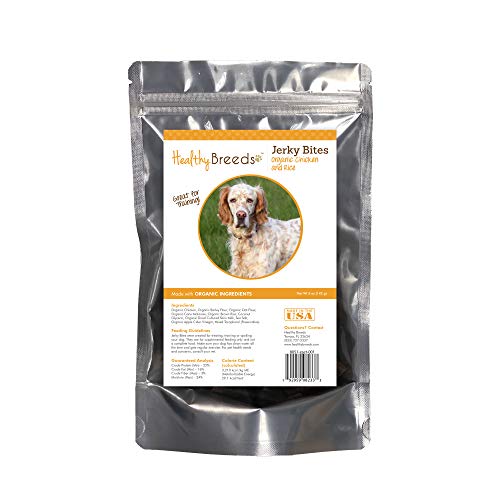 10 Best Dog Food For English Setters In 2023 Top Picks and