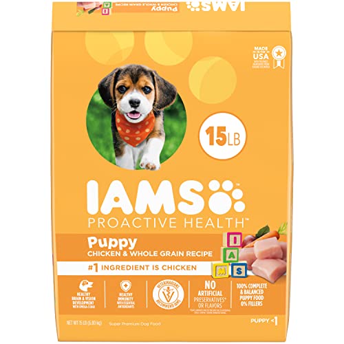 Best Puppy Food For A Cavapoo