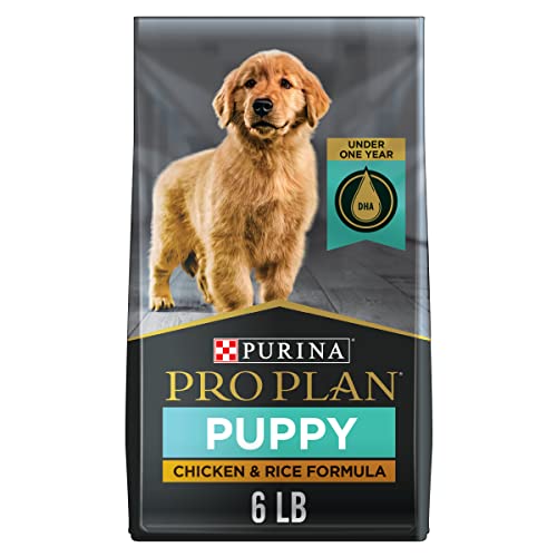 The 10 Best Dog Food For Lab Puppies In 2023 Top Picks &
