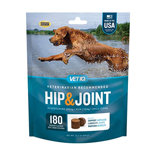 The 10 Best Dog Food To Prevent Hip Dysplasia In 2023 Top Picks