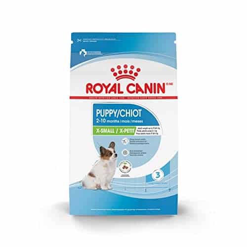 The 10 Best Dry Food For Maltese Puppy In 2023 Top Picks &