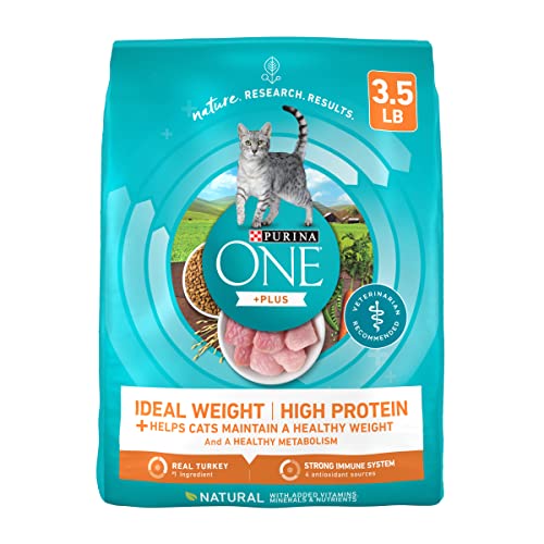 the-10-best-cat-food-for-overweight-cats-in-2023-top-picks-recommended