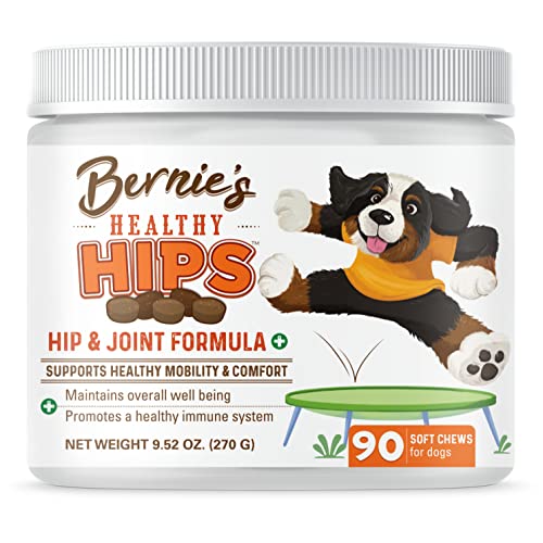 The 10 Best Dog Food For Older Dogs With Joint Problems In 2023 Top