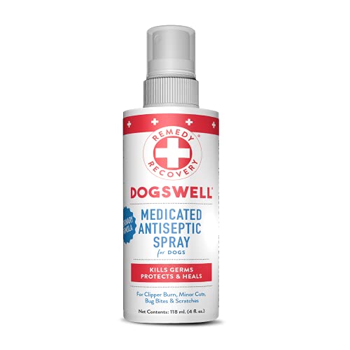 The 10 Best Antibacterial Spray For Dogs In 2023 Top Picks &
