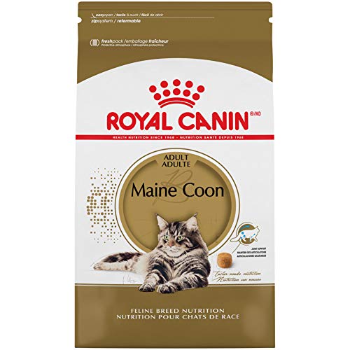 The 10 Best Cat Food For Norwegian Forest Cats In 2023 Top Picks &