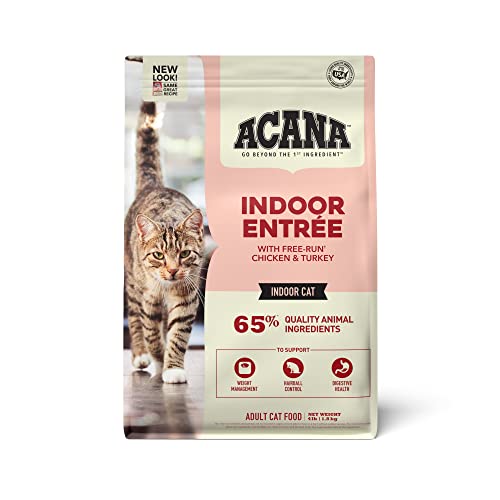 The 10 Best Cat Food For Overweight Indoor Cats In 2023 Top Picks