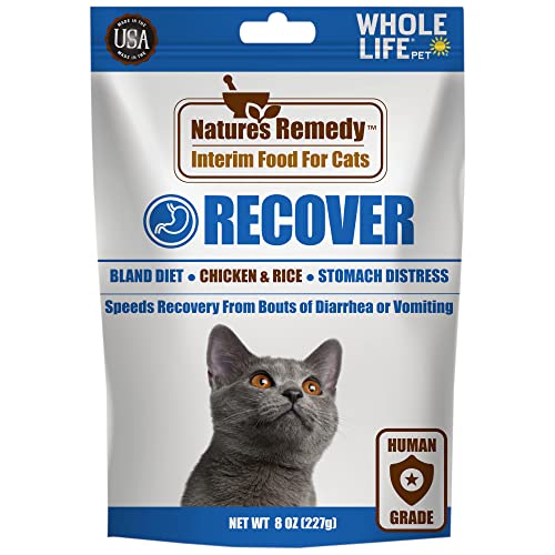 The 10 Best Cat Food For Vomiting Issues In 2023 Top Picks &