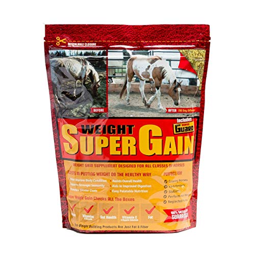 The 10 Best Supplement For Horse Weight Gain In 2023 Top Picks
