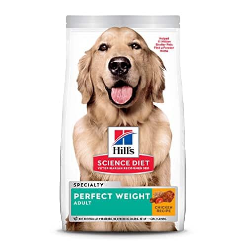 The 10 Best Dog Food For Overweight Labradors In 2023 Top Picks