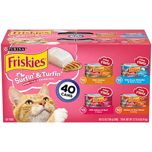 The 10 Best Cat Food For Lactating Cats In 2023 Top Picks &
