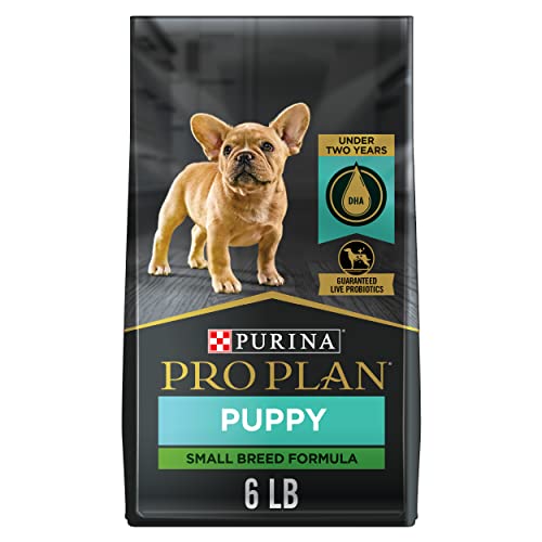 The 10 Best Dog Food For French Bulldog Puppy In 2023 Top Picks