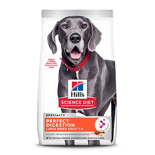 The 10 Best Food For Senior Great Dane In 2023 Top Picks &