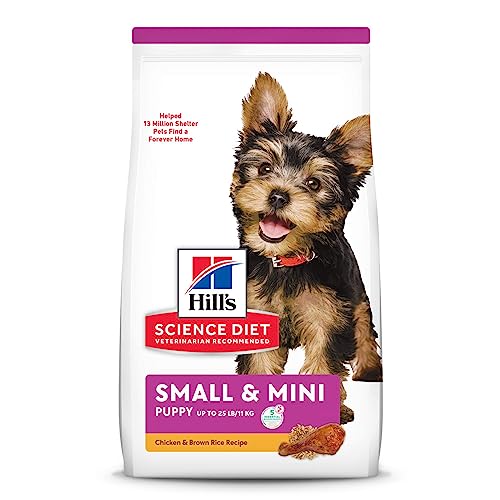 The 10 Best Food For Teacup Yorkie Puppy In 2023 Top Picks &