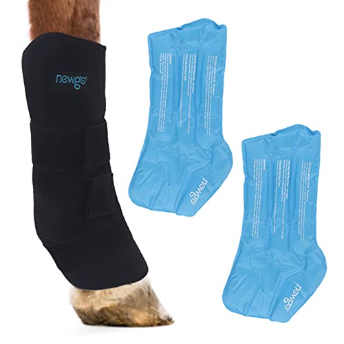 The 10 Best Ice Boots For Horses In 2023 Top Picks &