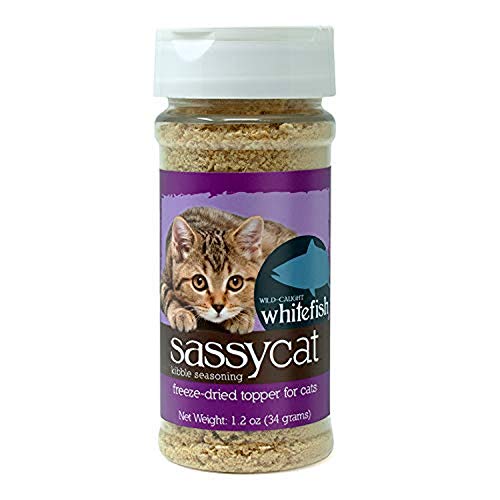 The 10 Best Cat Food For Finicky Eaters In 2023 Top Picks &