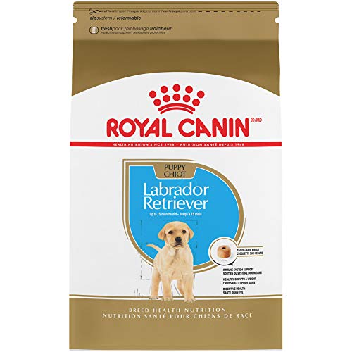 10 Best Dog Food For Labrador Retriever Puppy In 2023 Top Picks